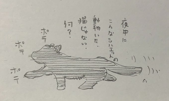 昨日見たこれ、何? 