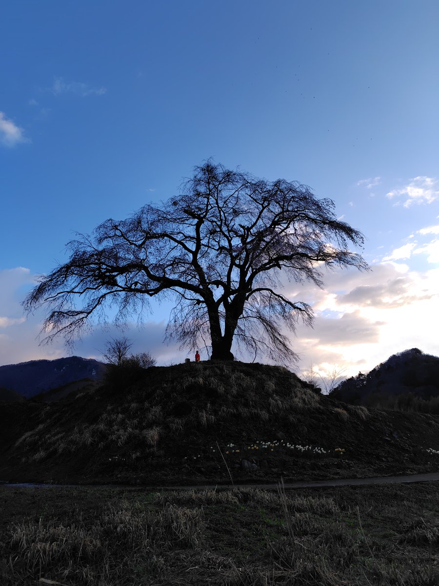 隆志🤿⛷♨⛩ tweet media