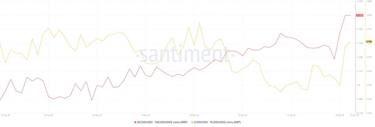📊 XRP: Whale-Akkumulation zieht massiv an 🚨

Neue Daten von Santiment zeigen eine klare Bewegung bei Großinvestoren:

🐋 In nur einer Woche wurden rund 360 Mio. XRP zusätzlich akkumuliert

📈 Besonders aktiv:
Wallets mit 10–100 Mio. XRP
👉 Bestände steigen von 11,21 → 11,57