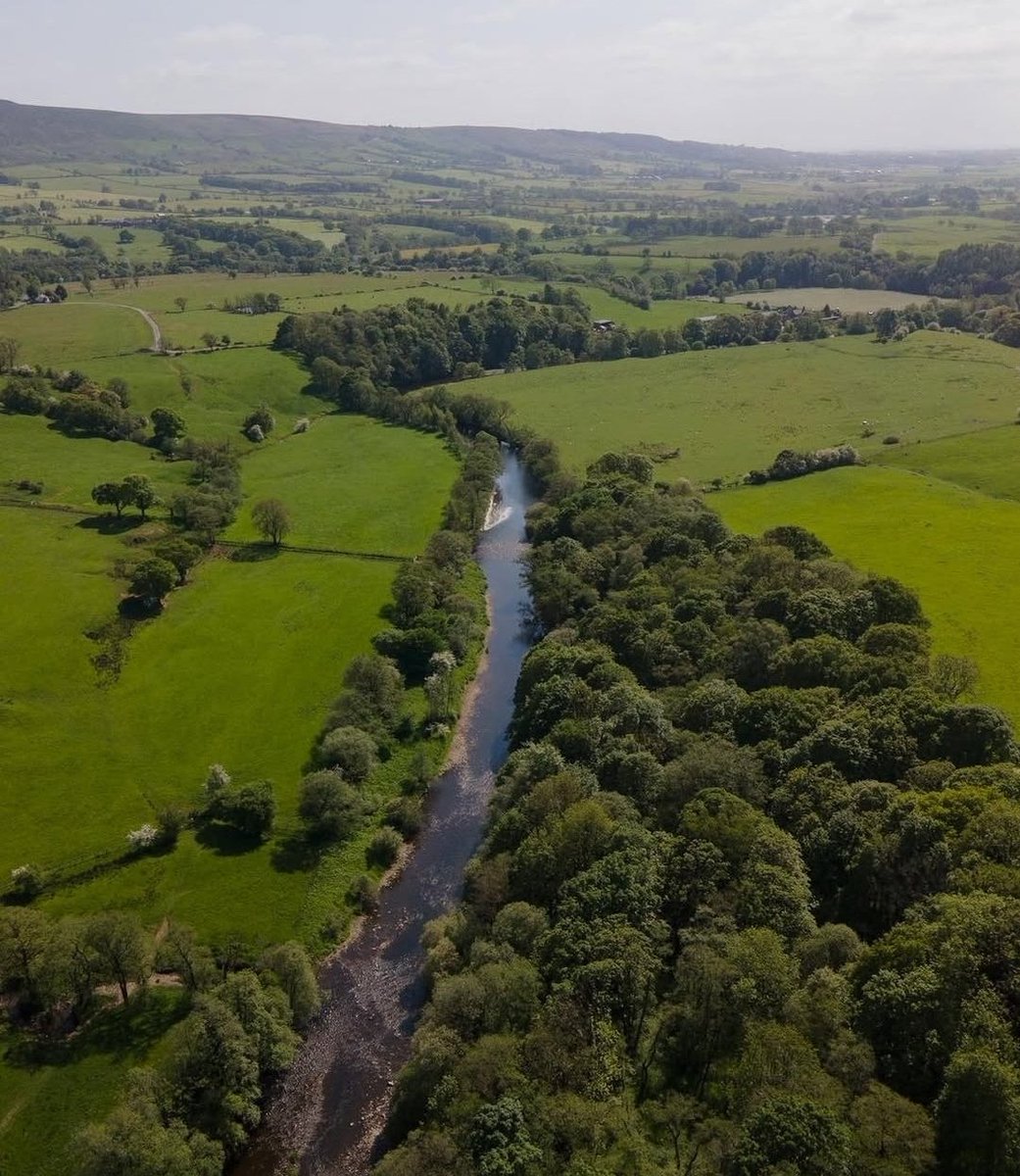 Adnan Hussain MP tweet media