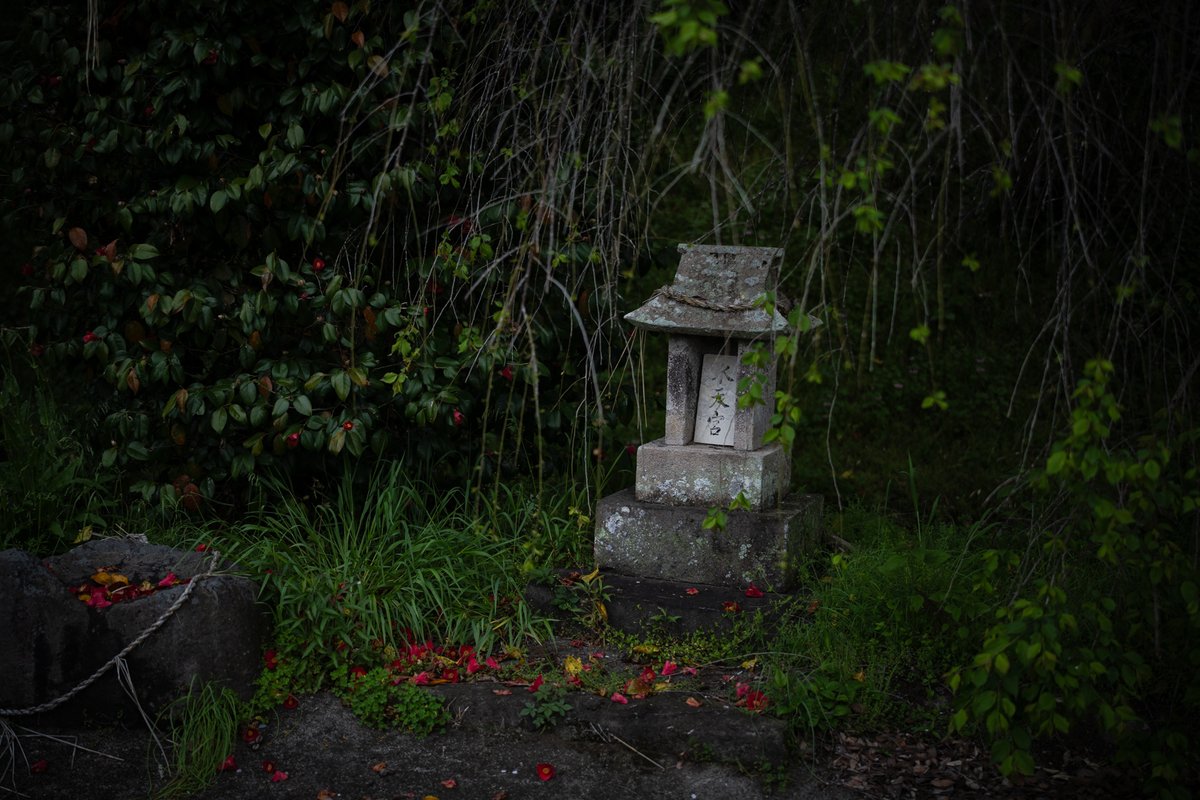 瓜生⛩️ tweet media