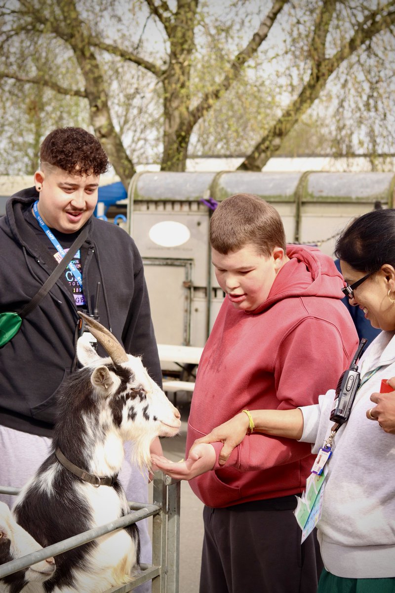 Wycombe Wanderers Foundation tweet media