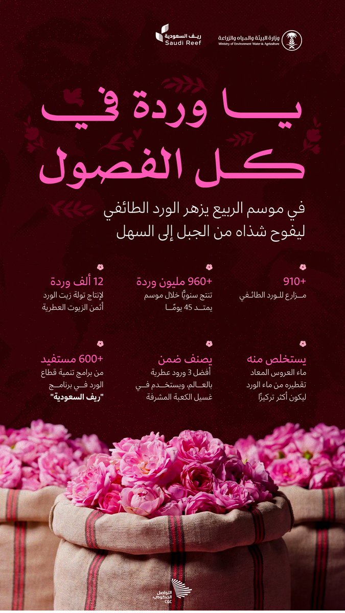 Dar_1727's tweet photo. موسم الورد الطائفي 🇸🇦🌷 https://t.co/9JrIeAlUtY