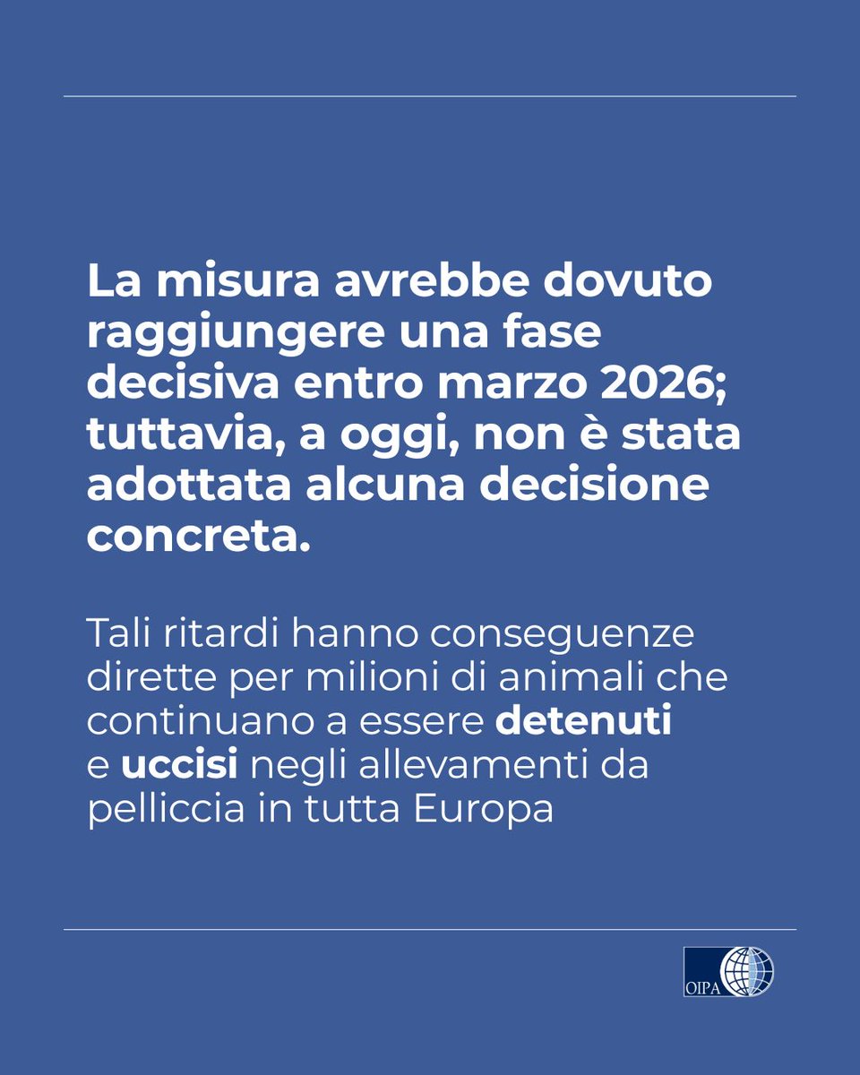 OIPA Italia tweet media