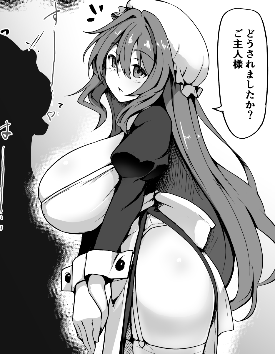 少年主人付きのメイドさん 