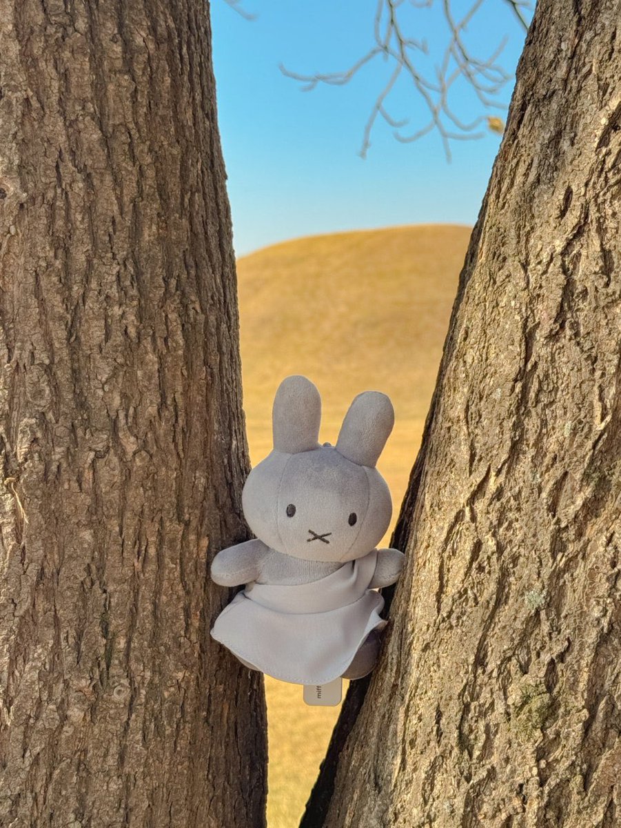 바게트 tweet media