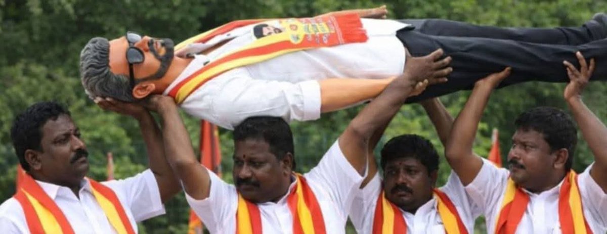 பாக்டீரியா tweet media