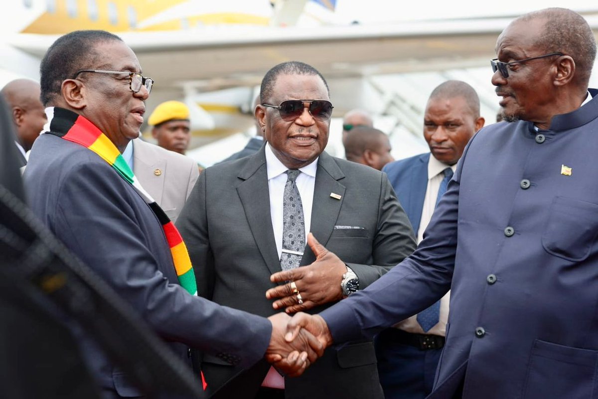 EDevelopZim tweet media