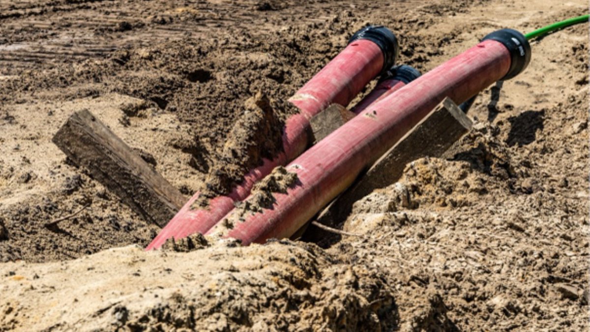 Provincie Noord-Brabant tweet media