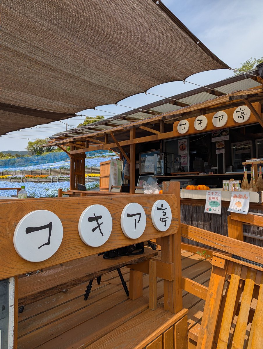 スベリィ・マーキュリー tweet media