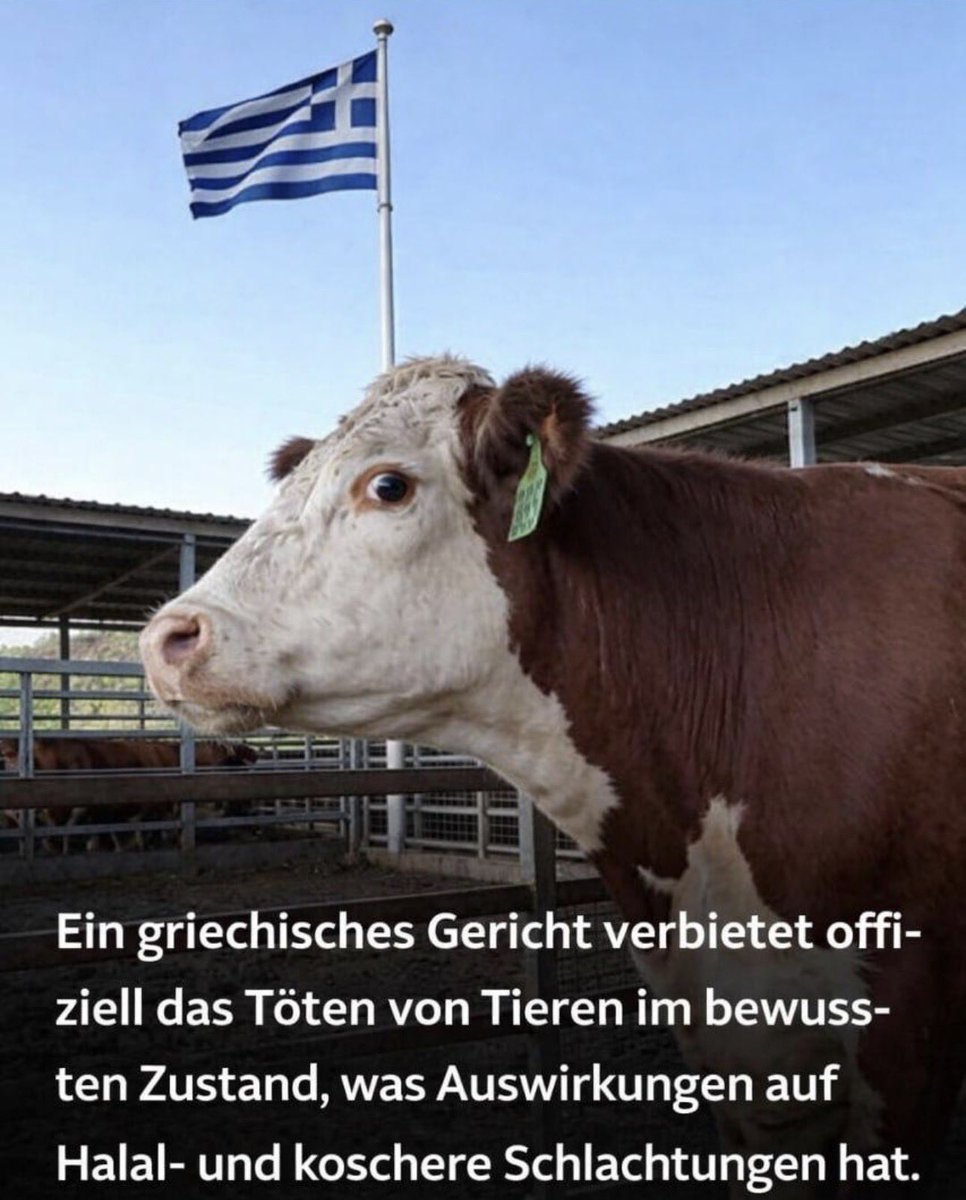 Matthias V. Diener tweet media