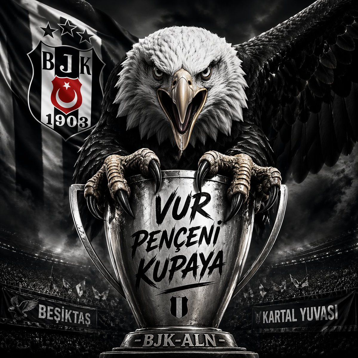 Vurduğun gol olsun kartalım 🦅🖤🤍🦅#BeşiktaşınMaçıVar #BJKvALN #Beşiktaş