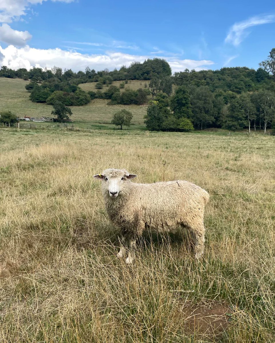 Sama Hoole tweet media