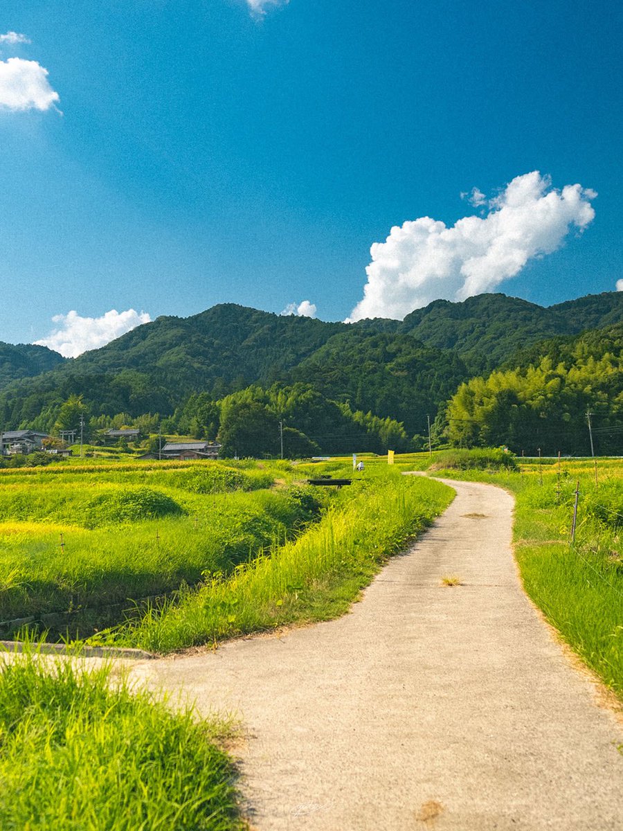 YutoPhotography's tweet photo. 三重県で撮った日本の原風景 https://t.co/1XaiVJwAhX
