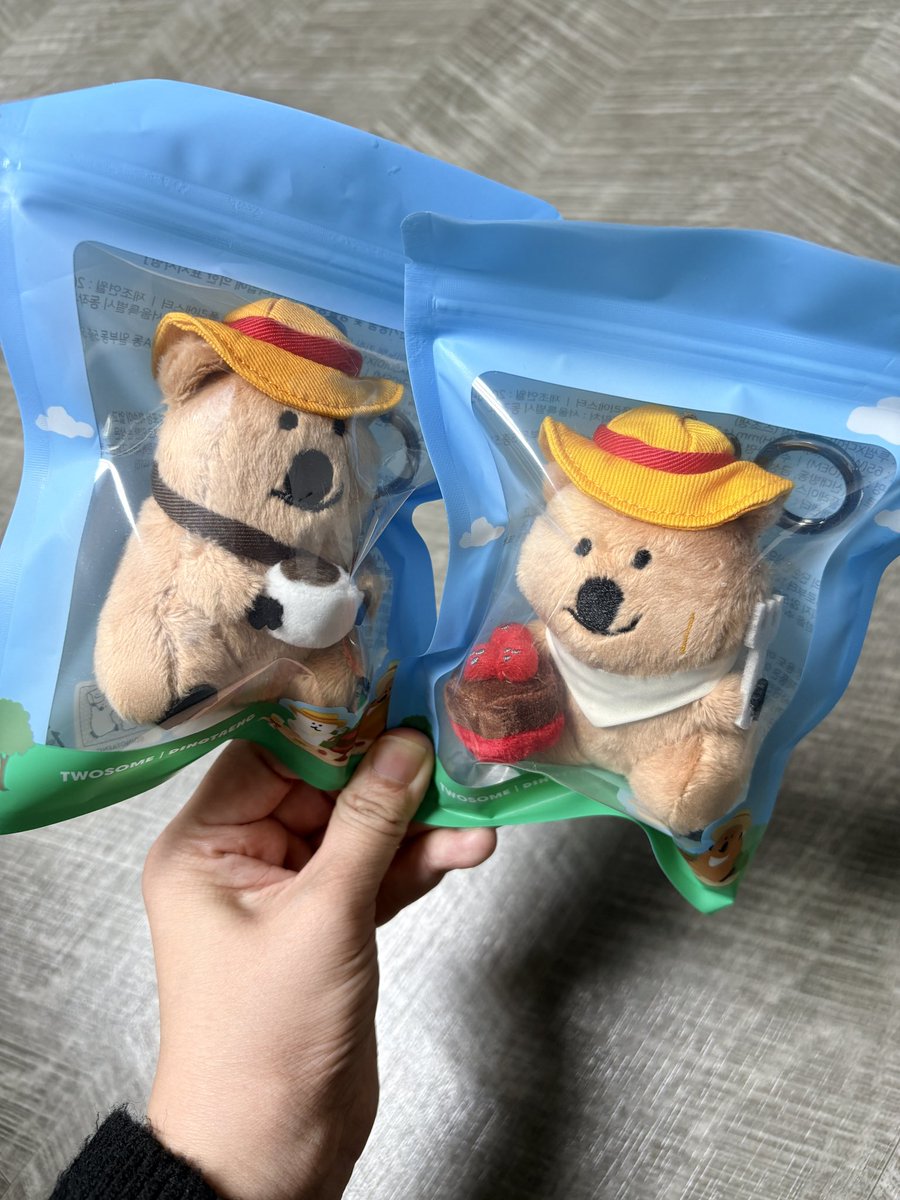 투썸x다이노탱 콜라보 굿즈
쿼카는 못참지 
두마리 입양 성공
