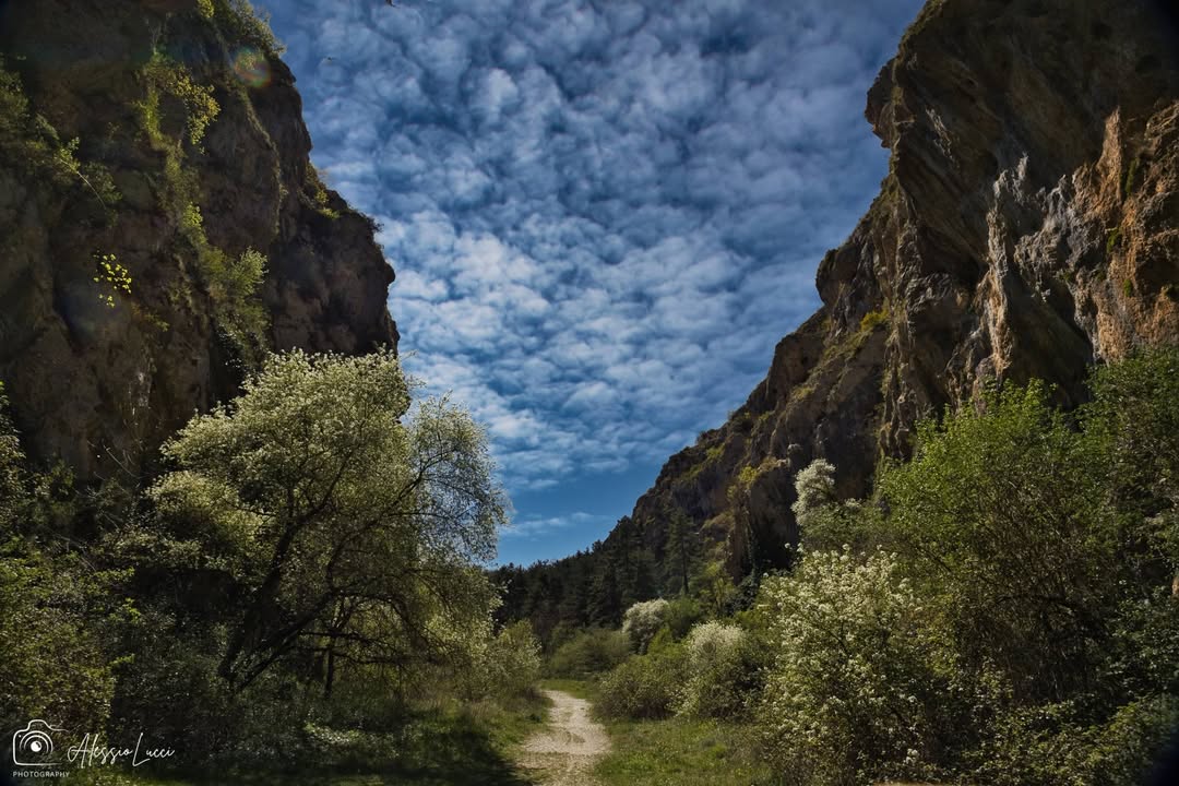 YourAbruzzo's tweet image. Le #GoleDiCelano nel #SirenteVelino: un #canyon tra i più spettacolari, con pareti imponenti e un percorso che sorprende passo dopo passo!
📸IG alessiolucci
#viaggioinabruzzo #abruzzo #abruzzoturismo
