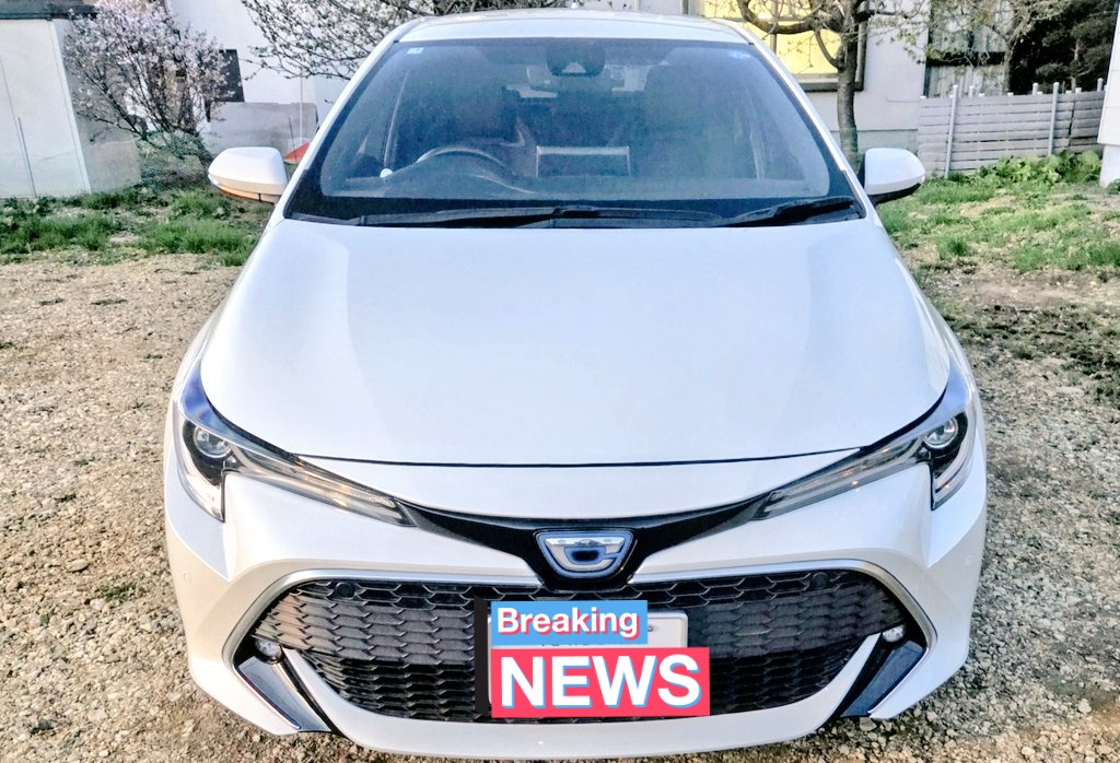 ひ★ろひろ:ZZRはシーズンイン tweet media