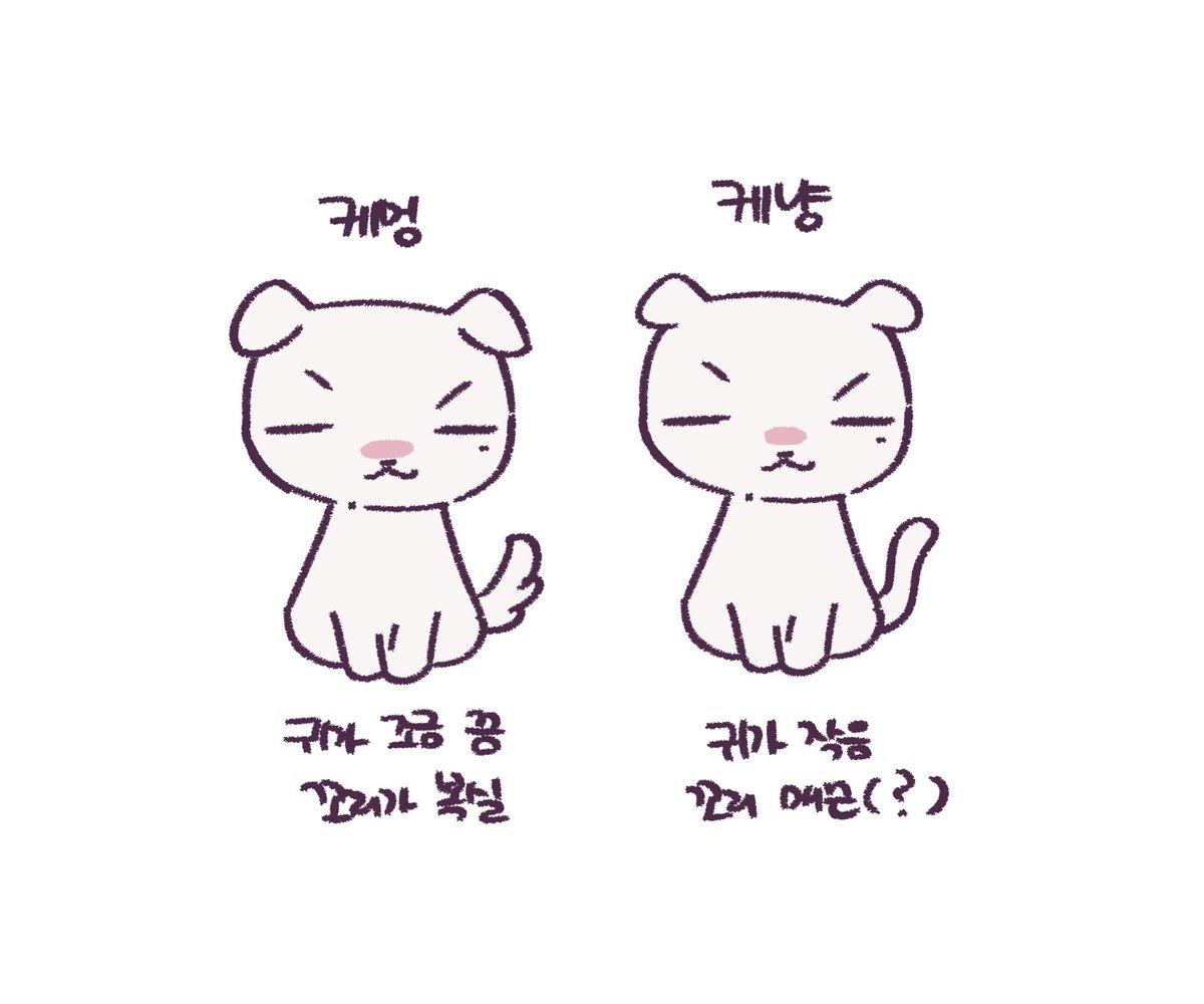 🌷김레울이🌷 tweet media