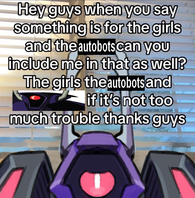 CatKnight tweet media