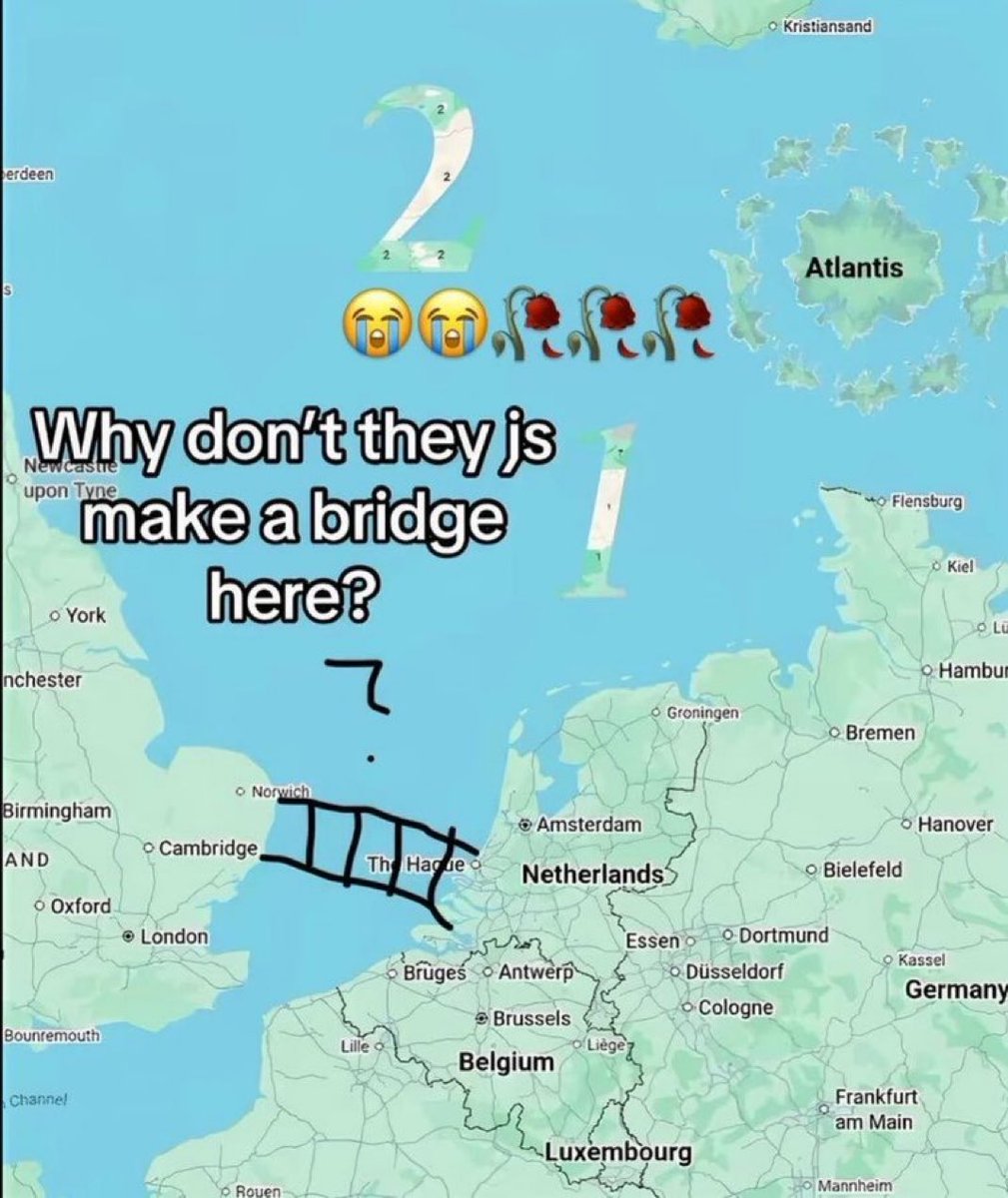 No Context Dutch 🇳🇱 tweet media