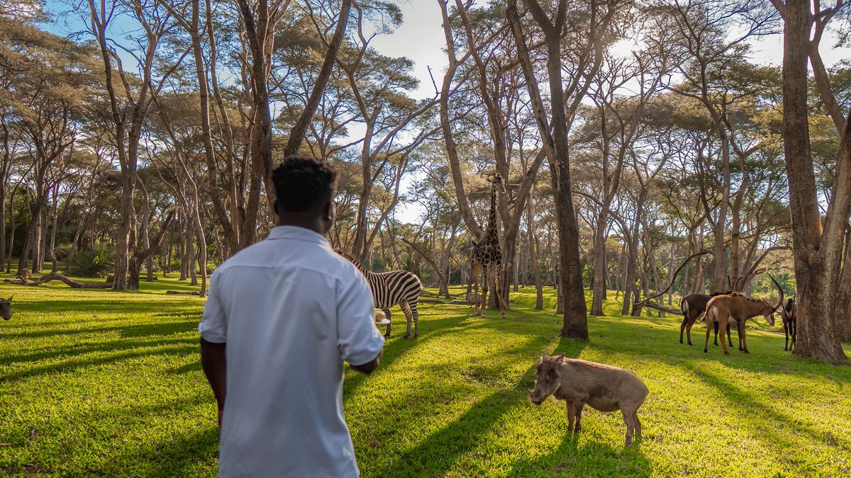 Wode Maya ® tweet media