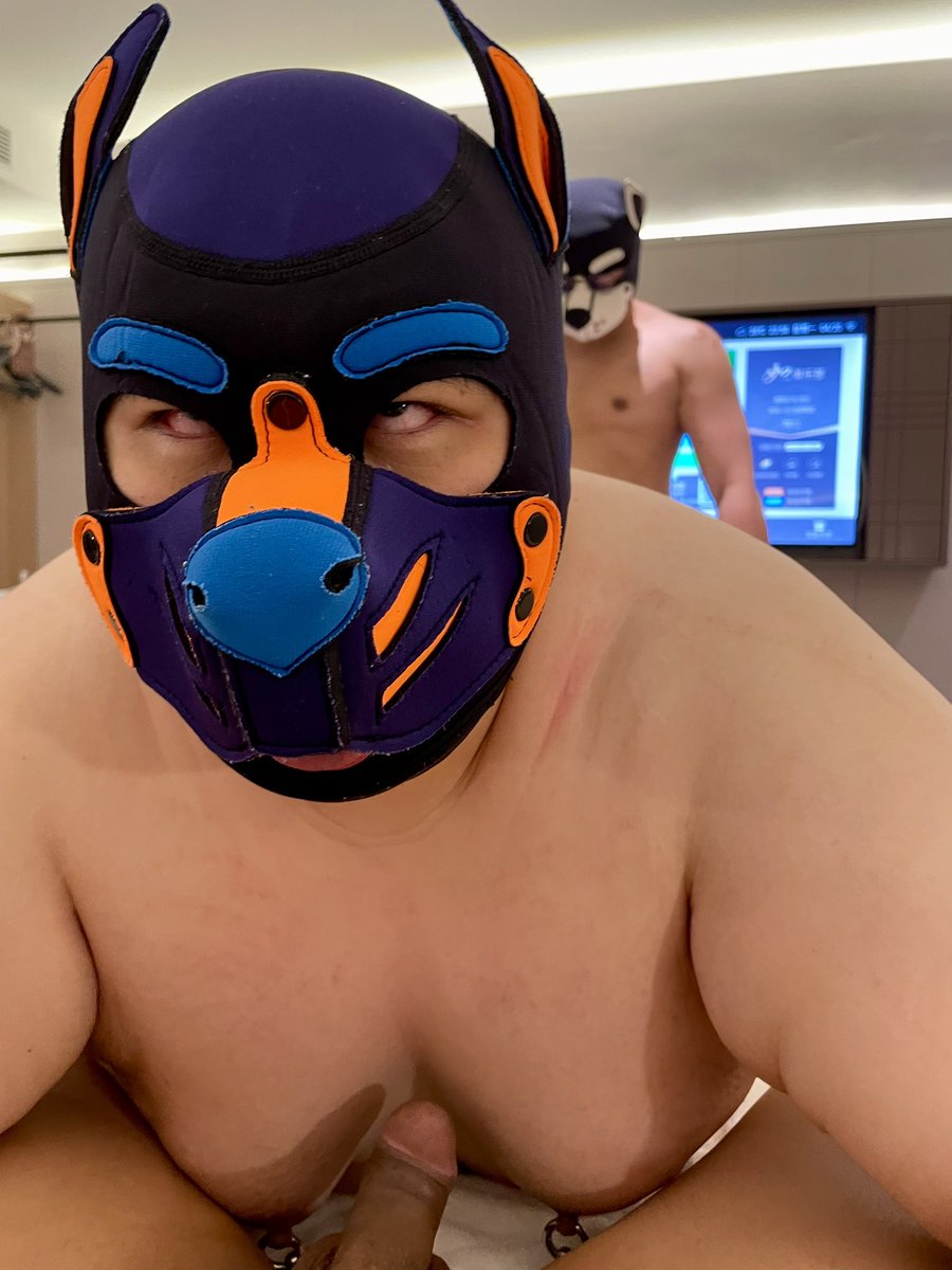 呆呆熊 tweet media