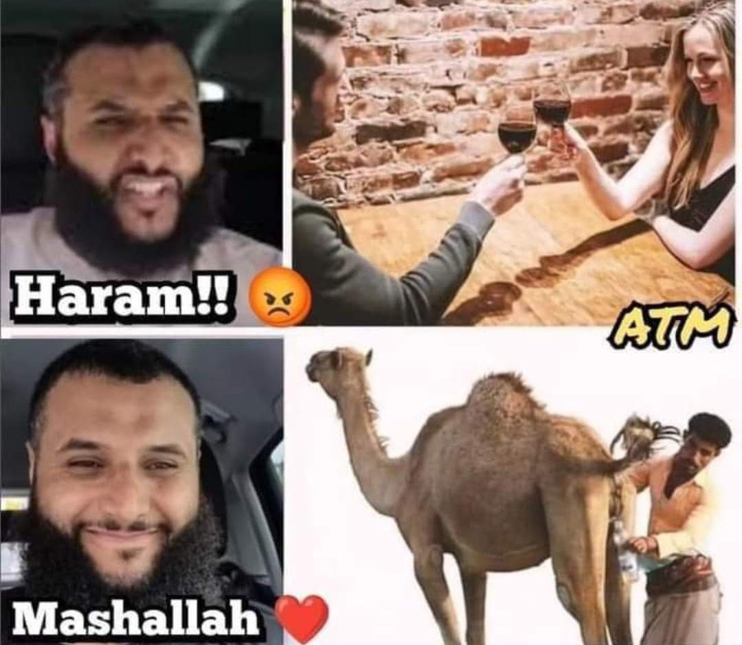 PagalInsaan tweet media