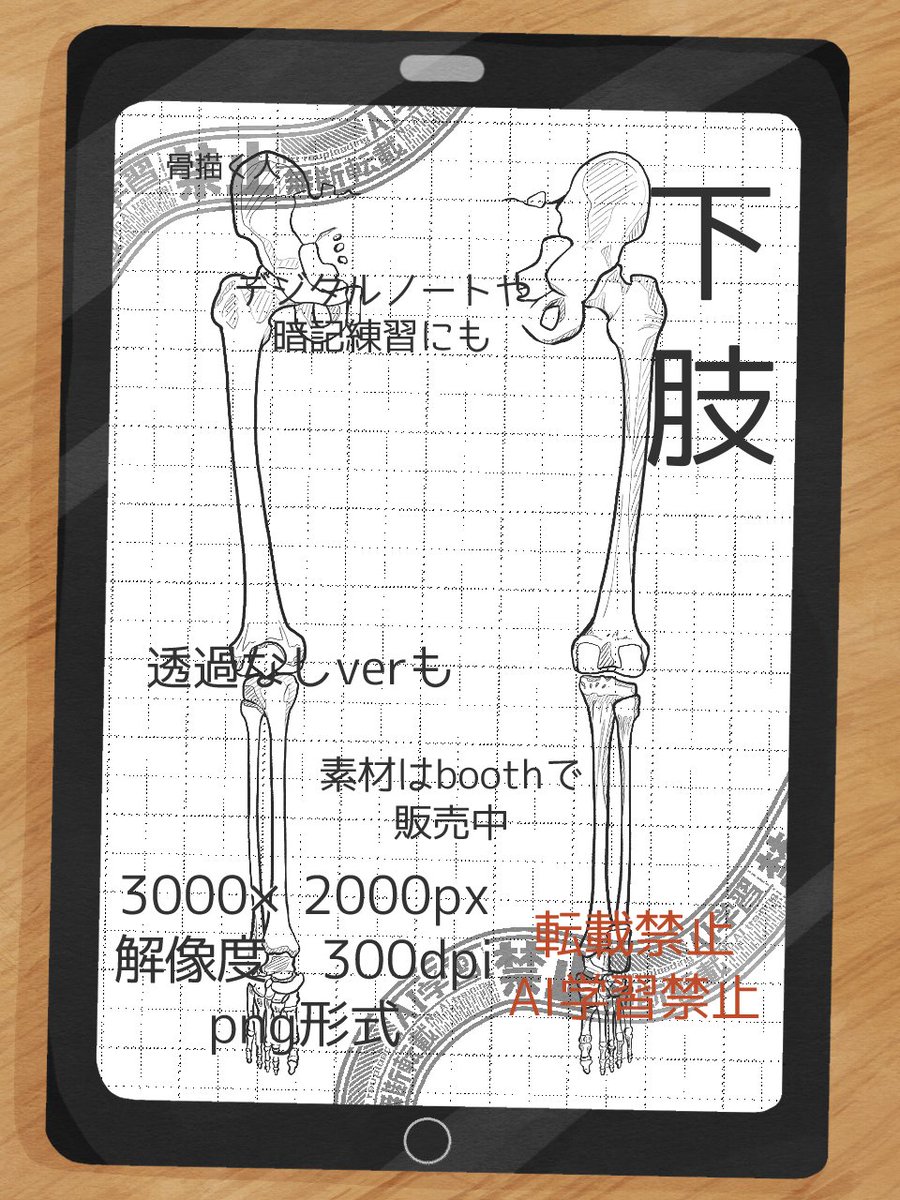 honekakuhuman's tweet image. デジタル形式の手書き骨イラストをboothで販売しています(Adobe,Pixta)

医療系従事者の方々や学生さんなど、デジタルでのまとめノートや暗記練習等にお使いください。
honekakuhuman.booth.pm

↓イラストの一例です

#医療 #医学生 #看護学生 #薬学生 #柔道整復師 #理学療法士 #人体解剖 #解剖学