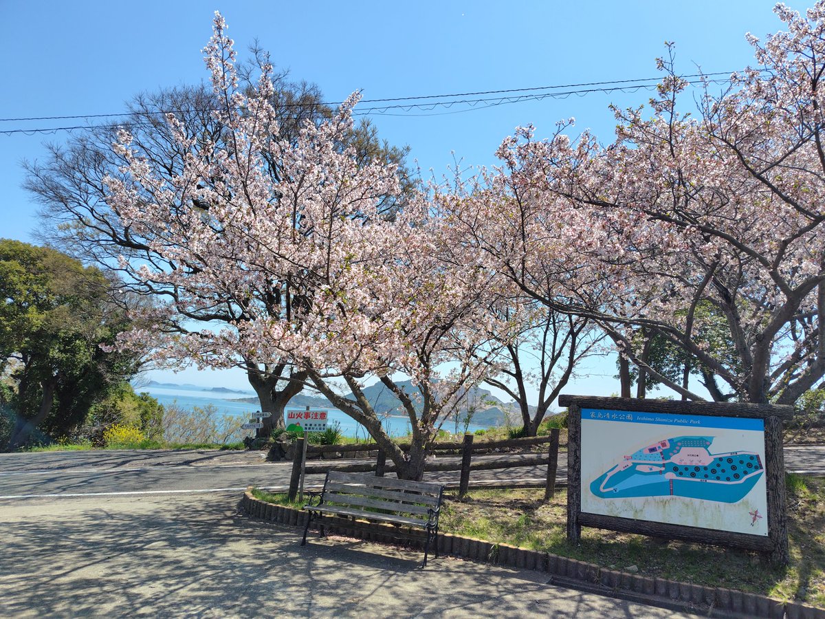 夢の旅人 tweet media