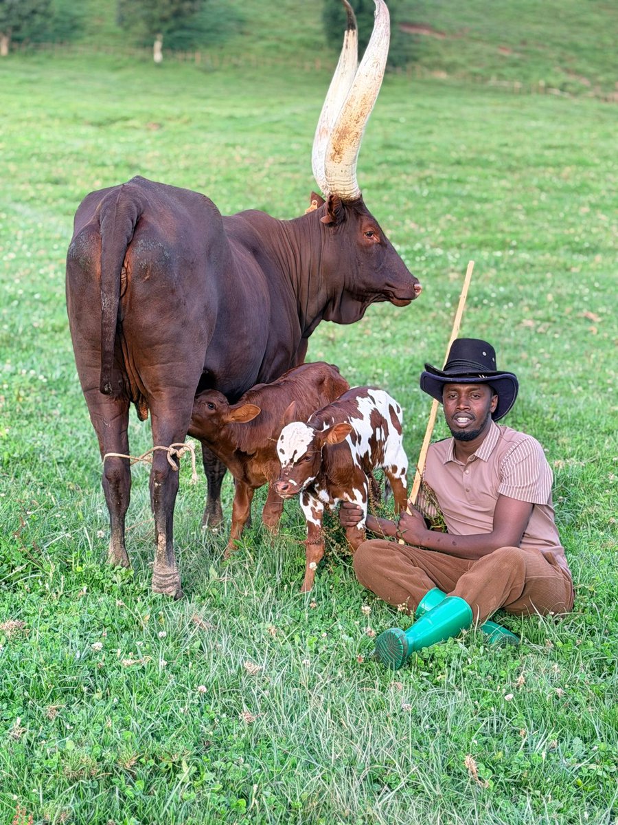 IBERE RYA BIGOGWE🇷🇼 tweet media