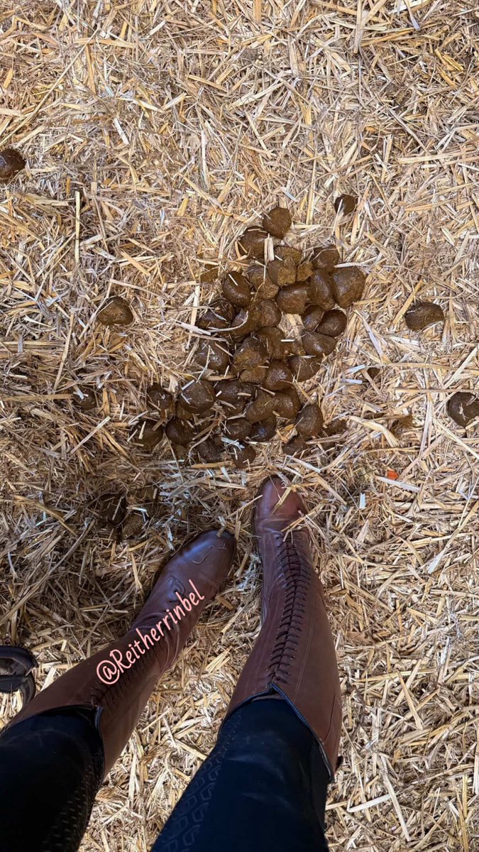 Reitherrin Annabel tweet media
