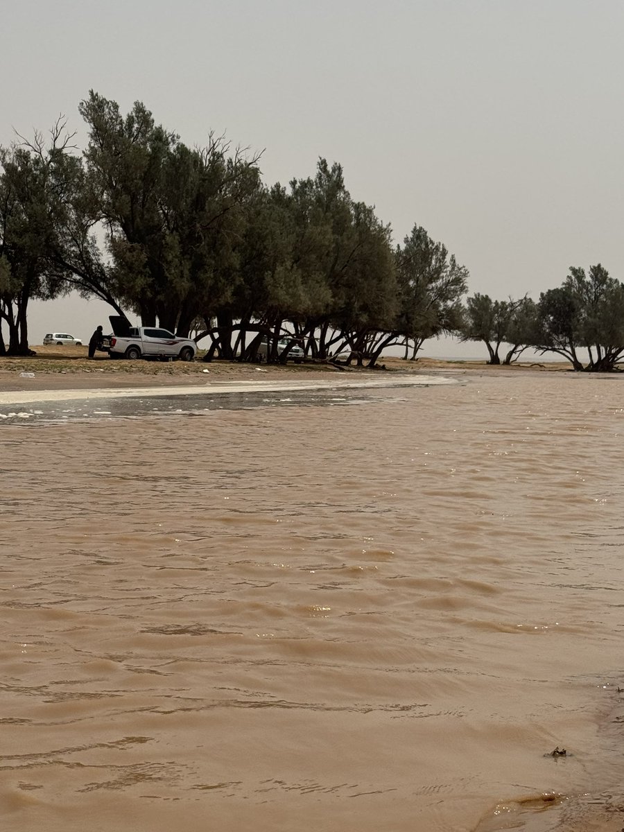 عبد العزيز الفريدي | Abdulaziz ALferidi tweet media