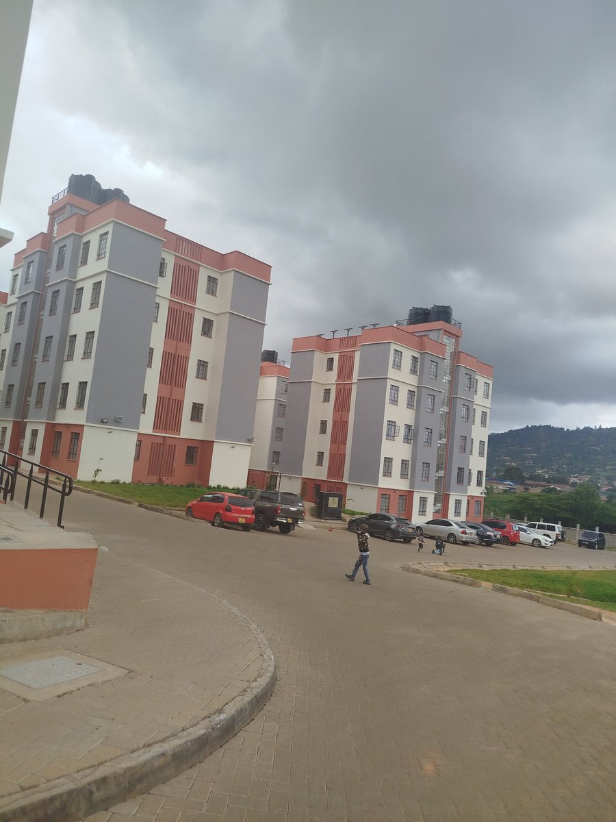 Ignatius tweet media