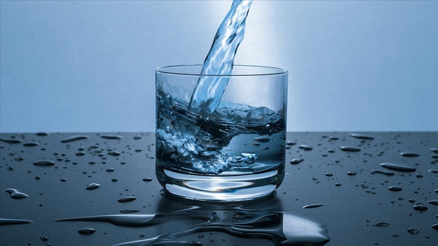 Bee Haber tweet media