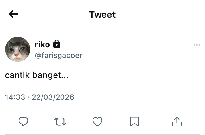 ℳ𝘪𝘰 tweet media