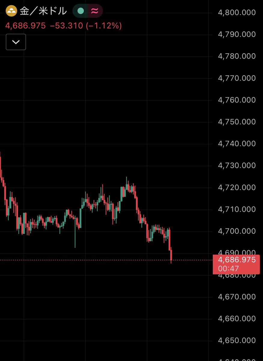凛Rinn｜投資家｜GOLD専門 tweet media