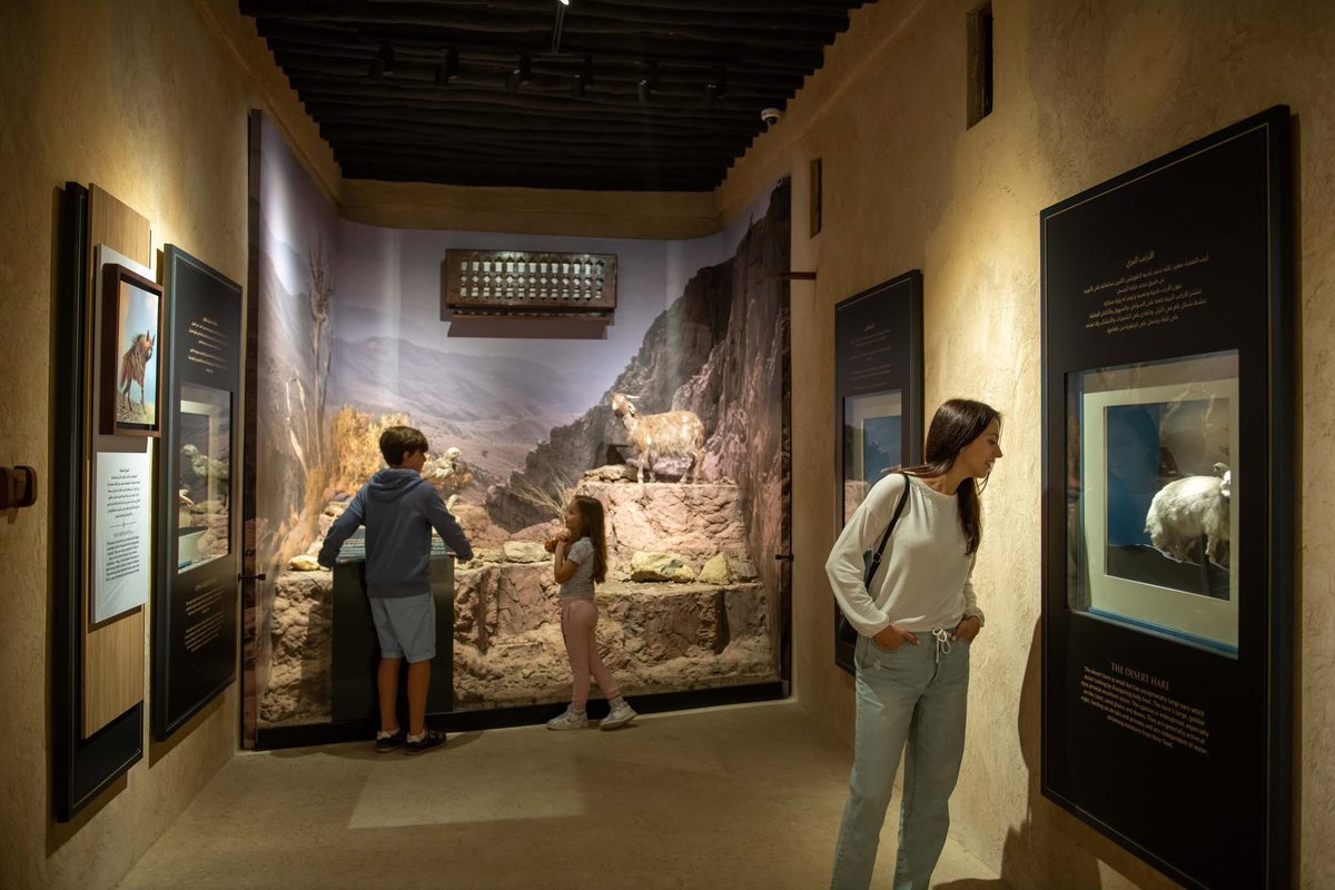 Ajman Museums tweet media