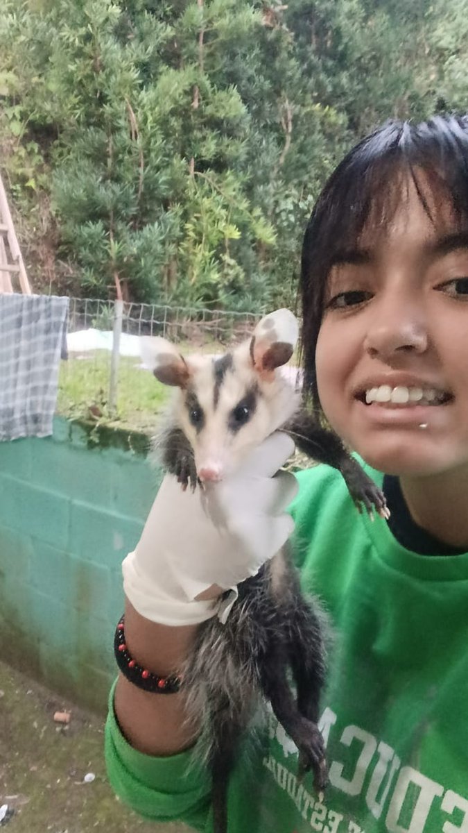 Certified Capacho🚭 tweet media