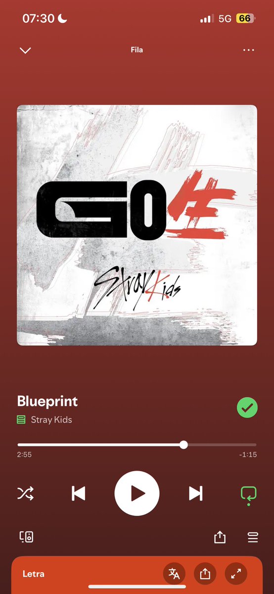 maah || viu o skz no rj 🇧🇷 tweet media