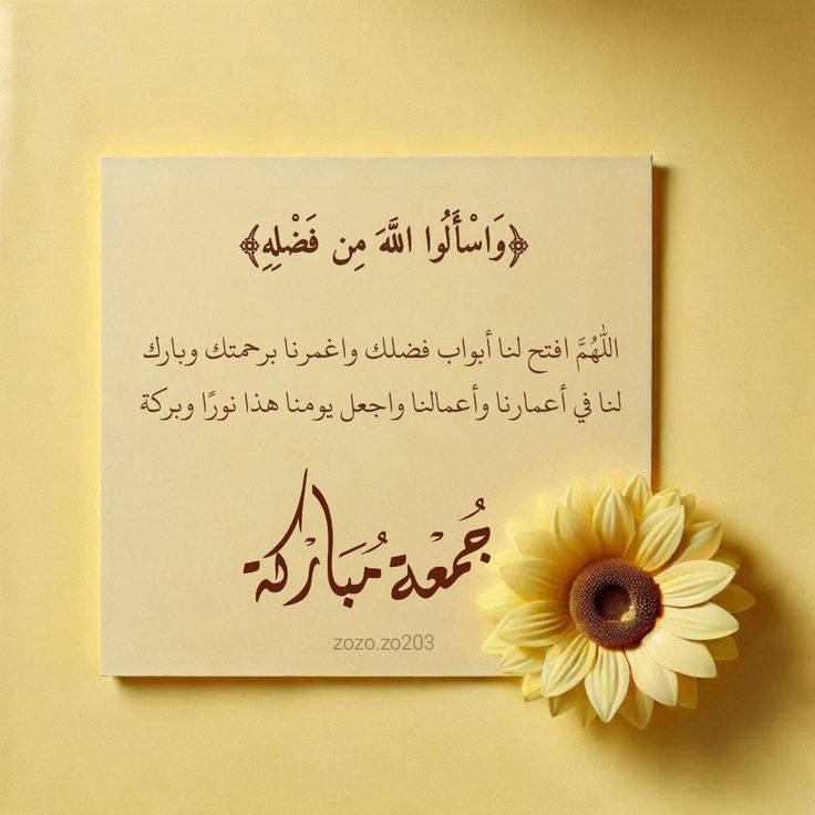 Al Anoud 👩🏻‍⚕️🩺 tweet media