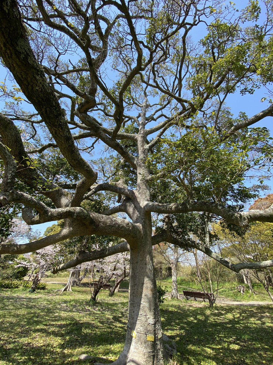 Jonathan Hiro tweet media