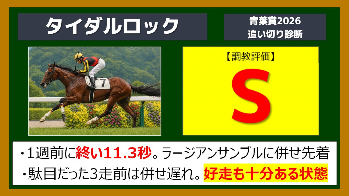 青葉賞〈追い切り診断〉 タイダルロック【調教評価S】 ✍最終的な予想 青葉賞〈追い切り診断〉 タイダルロック【調教評価S】 ✍最終的な予想