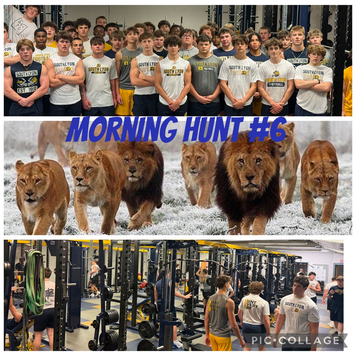 South Lyon Football tweet media