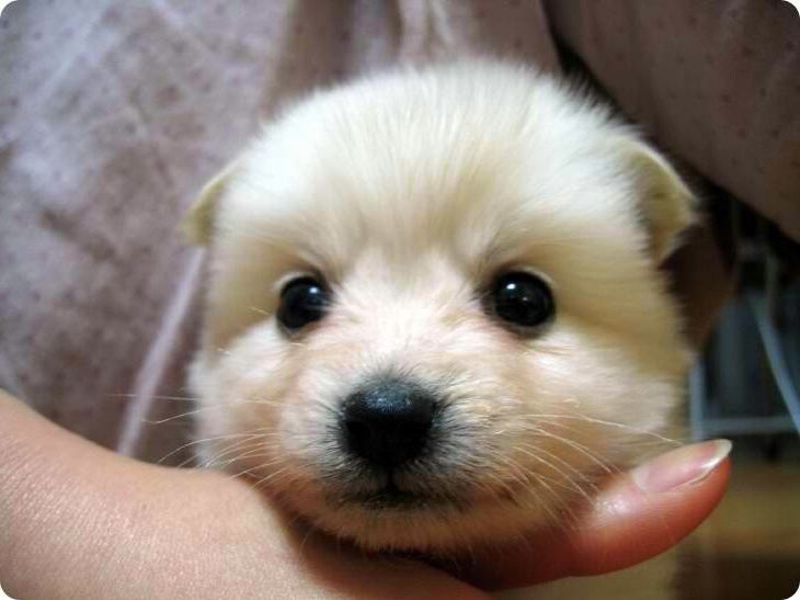 𝟑𝐨𝐯𝐞 tweet media