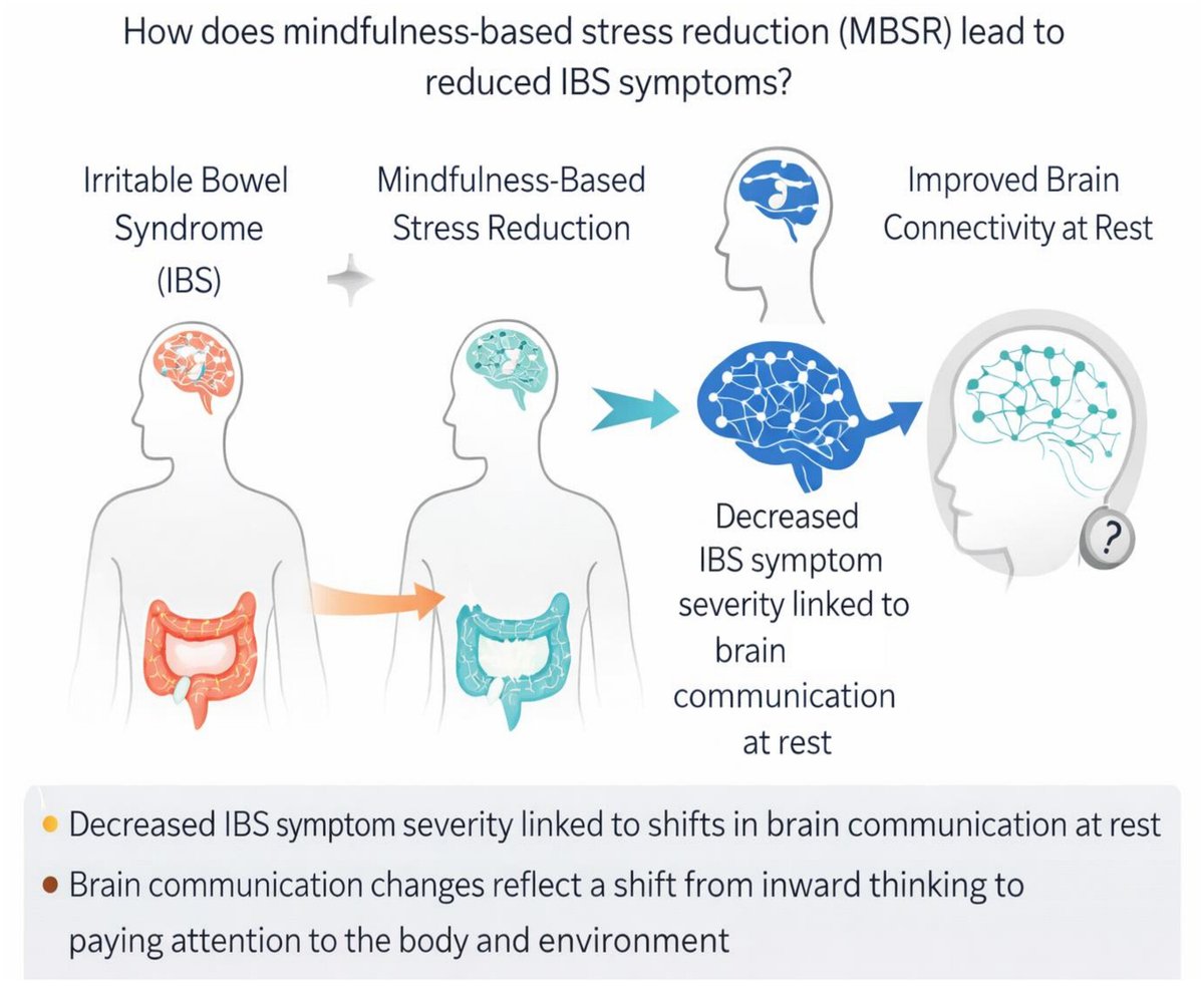 NGMJournal's tweet image. 🆕🔥Brain changes underlying #IrritableBowelSyndrome symptom improvement in response to #Mindfulness‐Based Stress Reduction‼️
🎯Improves #IBS symptoms by changing communication between brain regions at rest👏
👉 onlinelibrary.wiley.com/doi/10.1111/nm…
@ANMSociety @esnm_eu #Gut-Brain 🧠Axis