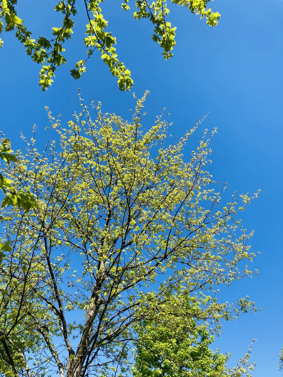 thesecretvoice4's tweet image. Qui vient? #rdv a la fontaine lol:)