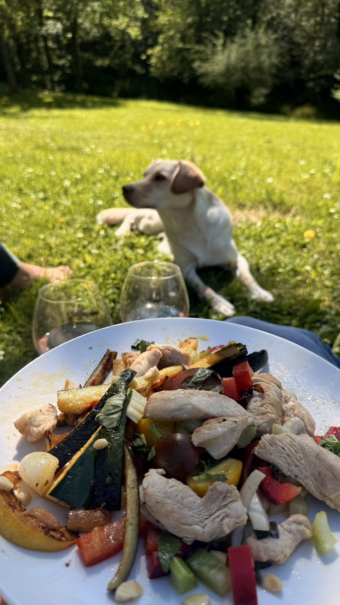 🧞‍♂️Martin Donadieu - oss/acc tweet media