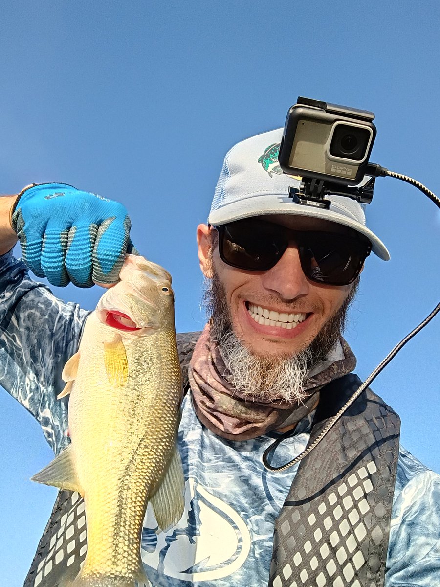 GuywithaGoProFS's tweet image. It's been a numbers morning out here on Mosquito. 5 #bass and one #walleye, all on the big mooch minnow on a bladed jig head. #fishing #bassfishing #walleye #patterns