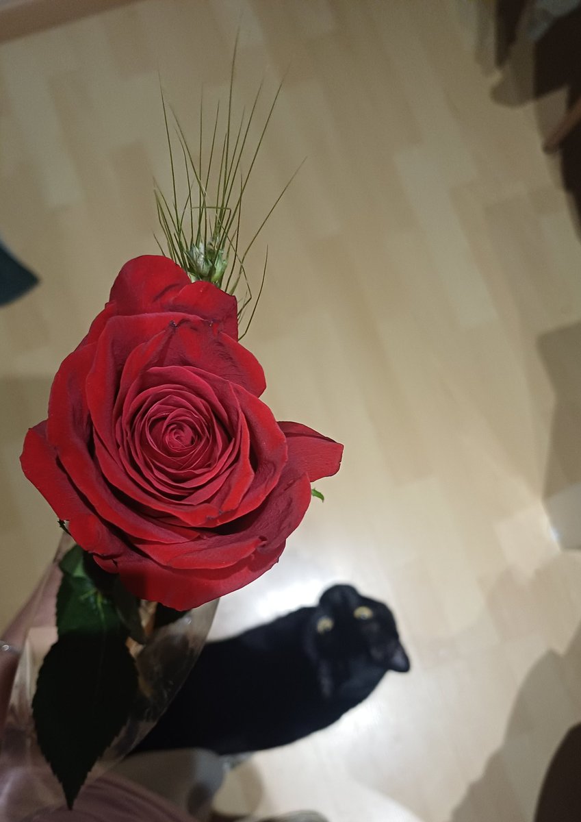 Billychi_'s tweet photo. ❤️ https://t.co/fPs75ICUP1