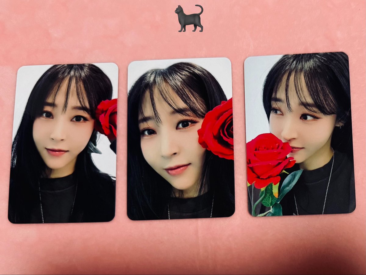 なな🐈‍⬛ tweet media